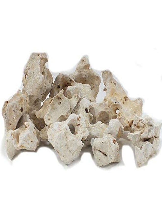 حجر زينة أبيض طبيعي من VAYINATO® لأحواض أسماك الزينة البحرية وأسماك الشيهيليد (3 كجم) من Petzlifeworld - Image 4